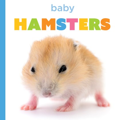Baby Hamsters, Laura K. Murray - Gebonden - 9798895810330