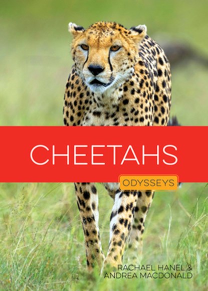 Cheetahs, Rachael Hanel - Gebonden - 9798895811450