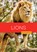 Lions, Rachael Hanel - Gebonden - 9798895811474