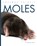 Moles, Ashley Gish - Gebonden - 9798895814284