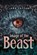 Image of the Beast, John Cotton - Paperback - 9798896394693