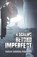 A Scheme Beyond Imperfect, Tarcizo Sobreira Fernandes - Paperback - 9798896410768