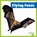 Flying Foxes, Lily Austen - Paperback - 9798896621942