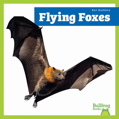 Flying Foxes, Lily Austen - Paperback - 9798896621942