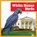 White House Birds, Lily Austen - Paperback - 9798896622666