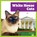 White House Cats, Lily Austen - Paperback - 9798896622697