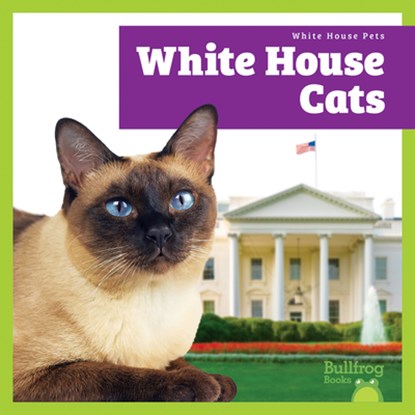 White House Cats, Lily Austen - Paperback - 9798896622697