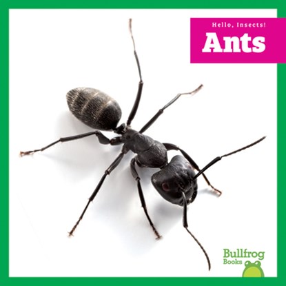 Ants, Adeline J. Zimmerman - Gebonden - 9798896623854