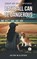 Baseball Can Be Dangerous, JoLynn McClintock - Paperback - 9798896753131
