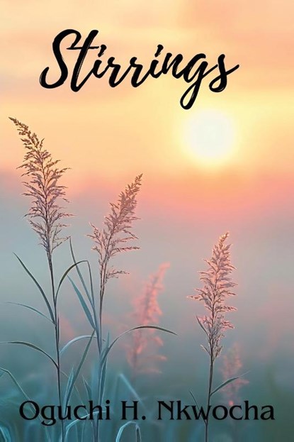 Stirrings, Oguchi H. Nkwocha - Paperback - 9798896760627