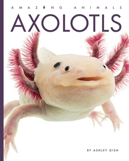 Axolotls, Ashley Gish - Paperback - 9798896800057