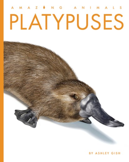 Platypuses, Ashley Gish - Paperback - 9798896800118
