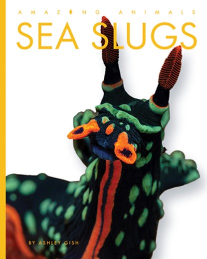 Sea Slugs, Ashley Gish - Paperback - 9798896800125