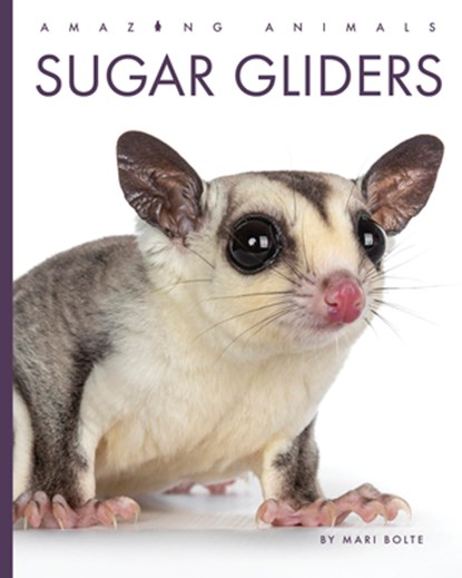 Sugar Gliders, Mari Bolte - Paperback - 9798896800132