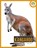Kangaroo, Pamela Dell - Paperback - 9798896800309