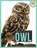 Owl, Pamela Dell - Paperback - 9798896800330