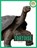 Tortoise, Jen Frantz - Paperback - 9798896800361