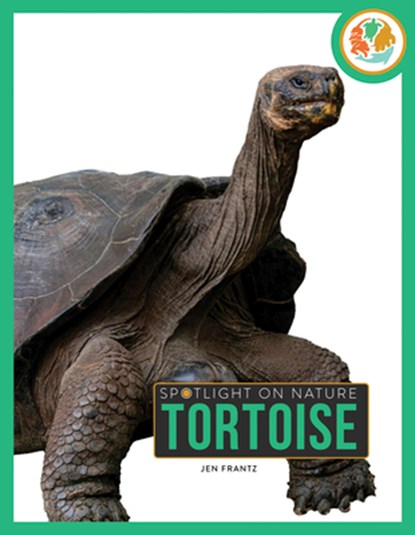 Tortoise, Jen Frantz - Paperback - 9798896800361