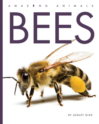 Bees, Ashley Gish - Paperback - 9798896801245