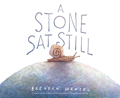A Stone SAT Still, Brendan Wenzel - Gebonden - 9798896850212