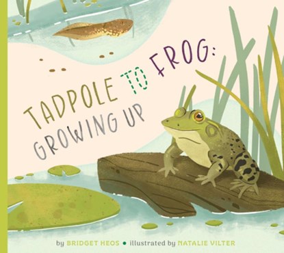 Tadpole to Frog: Growing Up, Bridget Heos - Gebonden - 9798896851509