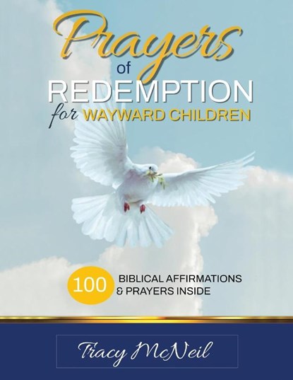 Prayers of Redemption for Wayward Children Workbook, Tracy McNeil - Paperback - 9798897047864