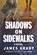 Shadows on Sidewalks, James Grady - Gebonden - 9798897101238