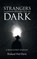 STRANGERS WITHIN THE DARK, Richard Hal Davis - Gebonden - 9798897636778