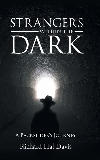 STRANGERS WITHIN THE DARK, Richard Hal Davis - Gebonden - 9798897636778
