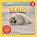 The Nature Kid's Guide to Seals, David Anderson - Paperback - 9798898181567