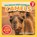The Nature Kid's Guide to Camels, David Anderson - Paperback - 9798898182199