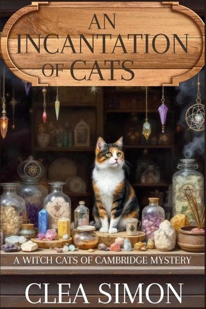 An Incantation of Cats, Clea Simon - Paperback - 9798898200916