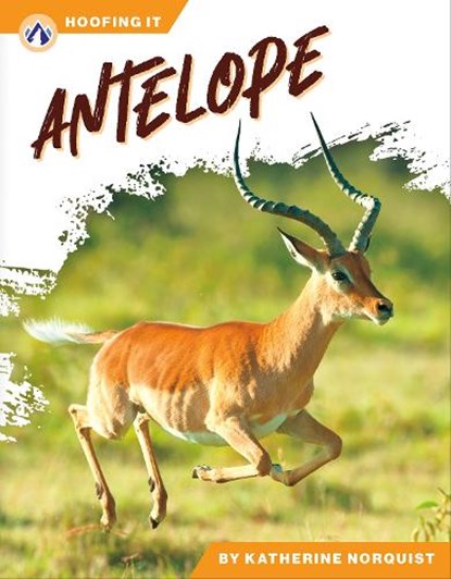Antelope, Katherine Norquist - Paperback - 9798898240585