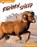 Bighorn Sheep, Abby Doty - Paperback - 9798898240592