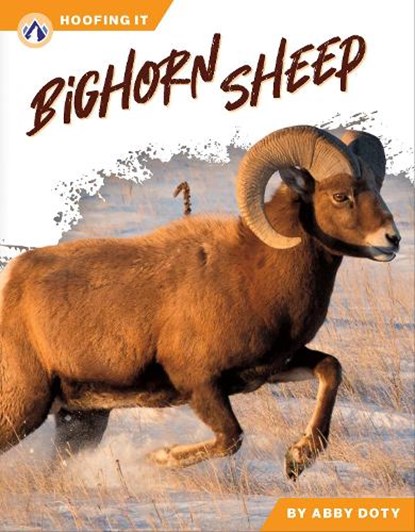 Bighorn Sheep, Abby Doty - Paperback - 9798898240592