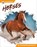 Horses, Katherine Norquist - Paperback - 9798898240615