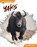Yaks, Abby Doty - Paperback - 9798898240646