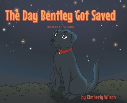 The Day Bentley Got Saved, Kimberly Wilson - Gebonden - 9798898351373