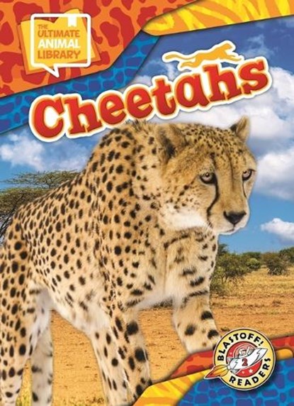 Cheetahs, Janie Scheffer - Gebonden - 9798898800406