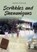 Scribbles and Shenanigans, Manju Patnaik - Paperback - 9798899226250