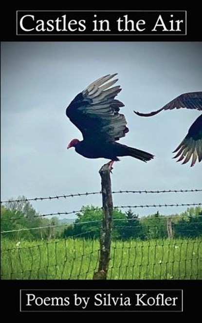 Castles in the Air, Silvia Kofler - Paperback - 9798899750274