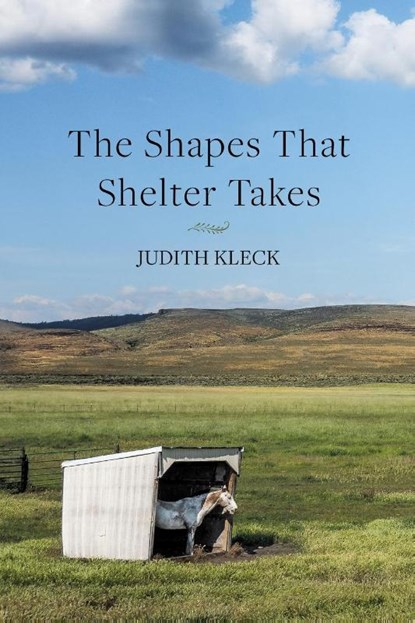 The Shapes That Shelter Takes, Judith Kleck - Paperback - 9798899900532