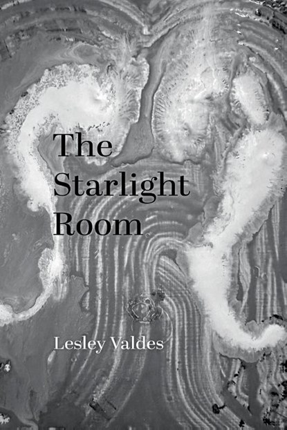 The Starlight Room, Lesley Valdes - Paperback - 9798899901096