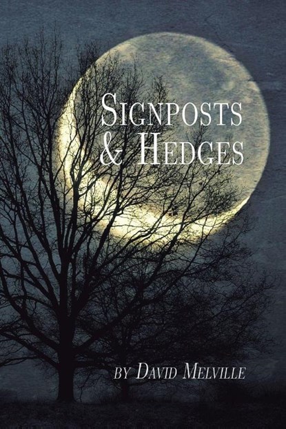 Signposts & Hedges, David Melville - Paperback - 9798899901249