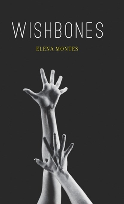 Wishbones, Elena Montes - Gebonden - 9798899904479