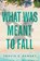 What Was Meant to Fall, Travis D. Ramsey - Paperback - 9798900520377