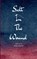 Salt In The Wound, Bailey Kerivan - Paperback - 9798900816852