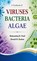 A Textbook of Viruses Bacteria Algae, Mukundraj B Patil ; Monali R Kadam - Gebonden - 9798904512071