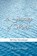 A Journey of Words, J L And Lin Stepp - Paperback - 9798985368147