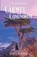 Carmel Conundrum, Stacy Wilder - Paperback - 9798985426625